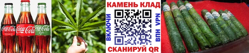 купить наркоту  Олонец  МЕГА ссылки  Canna-Cookies конопля 