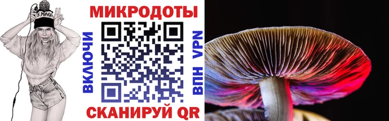 Галлюциногенные грибы мицелий  что такое   Олонец 