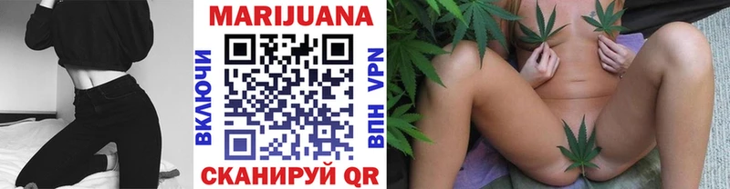 Бошки марихуана сатива  где купить наркотик  Олонец 